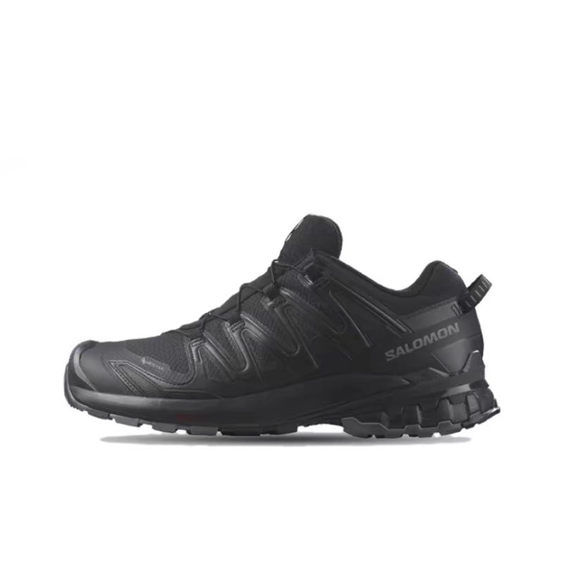 Salomon XA Pro 3D V9 GTX: Têni - Salomon Shoes Xa Pro 3D avaliação e preço